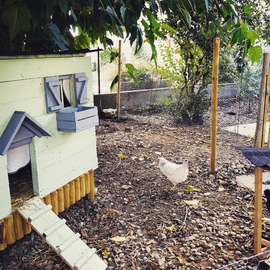 Bed and Breakfast Aux Champés Saussignac Esterno foto